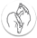 Logo Paardenkamp.nl