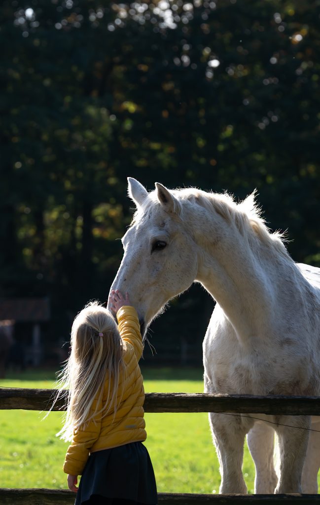 Kind bij paard