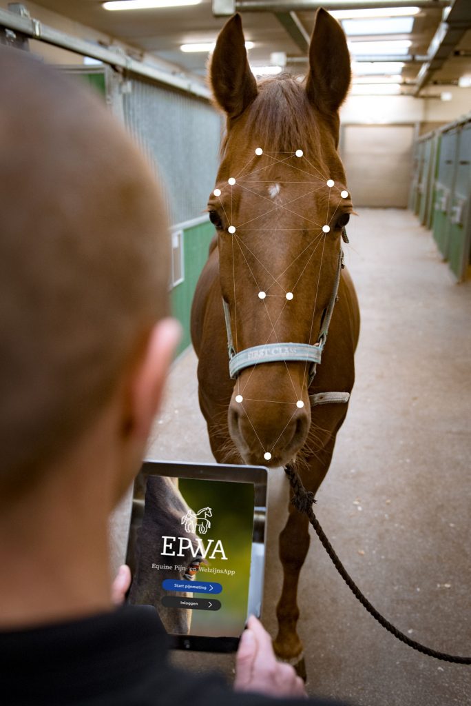 EPWA: Thijs van Loon met paard