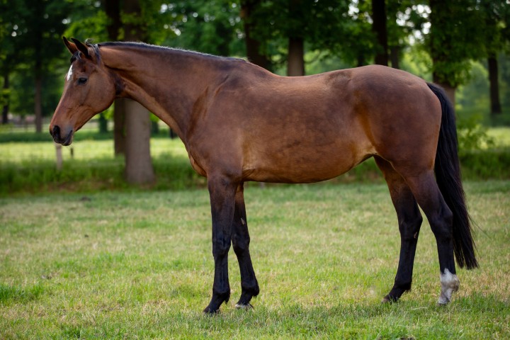 Antara