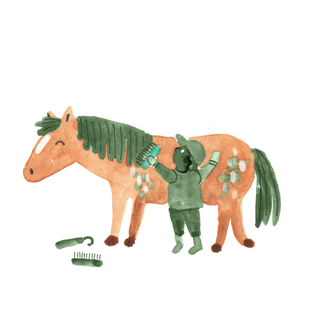 Iemand die een paard aan het borstelen is