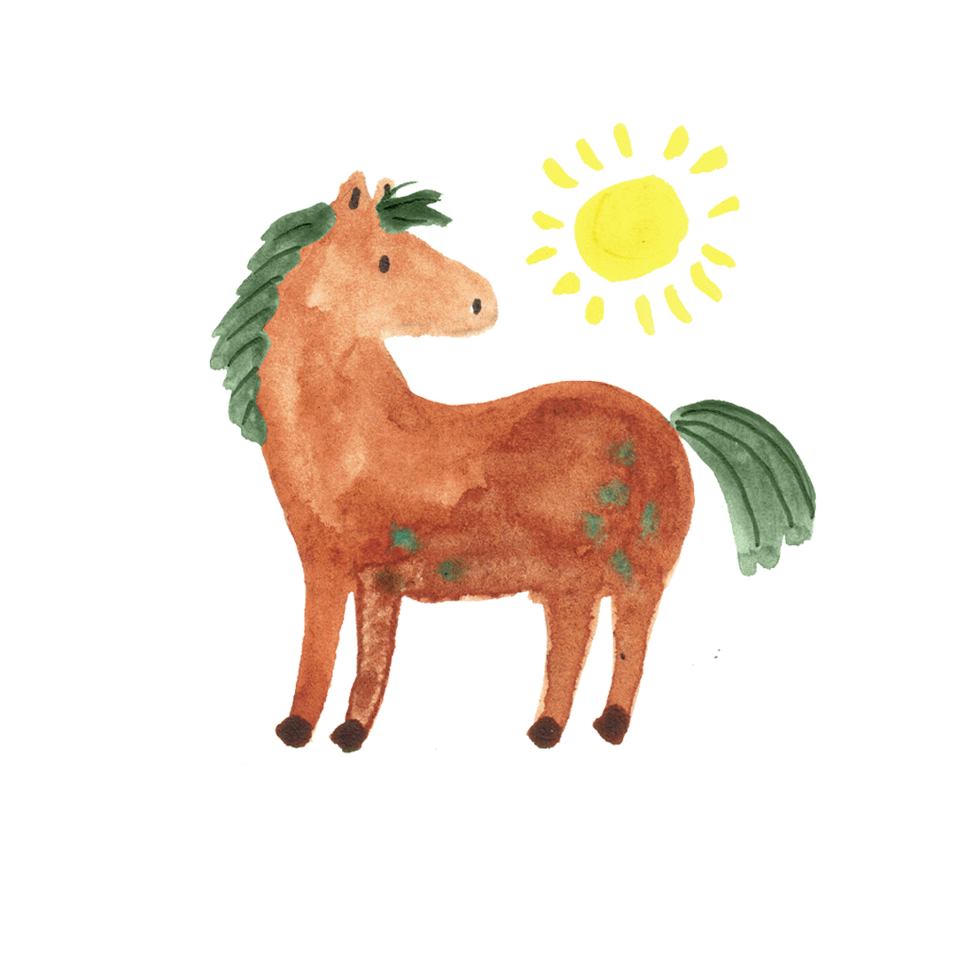paard die in de zon staat