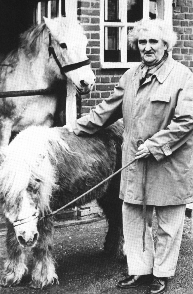 Stichting de Paardenkamp - Geschiedenis