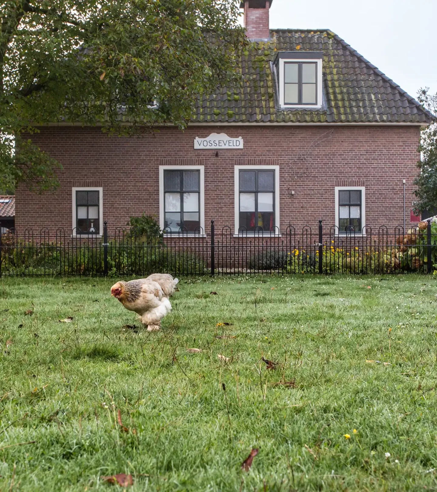 Voorkant Vosseveld kopie