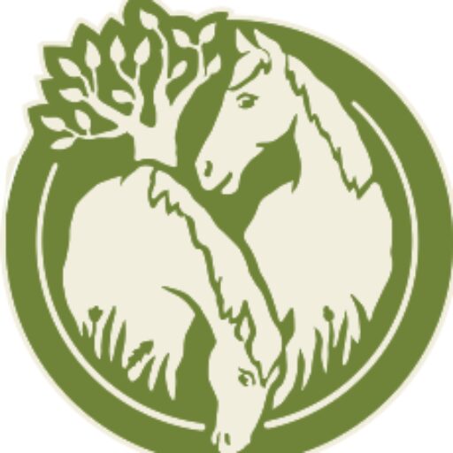 stichtingdepaardenkamp_logo
