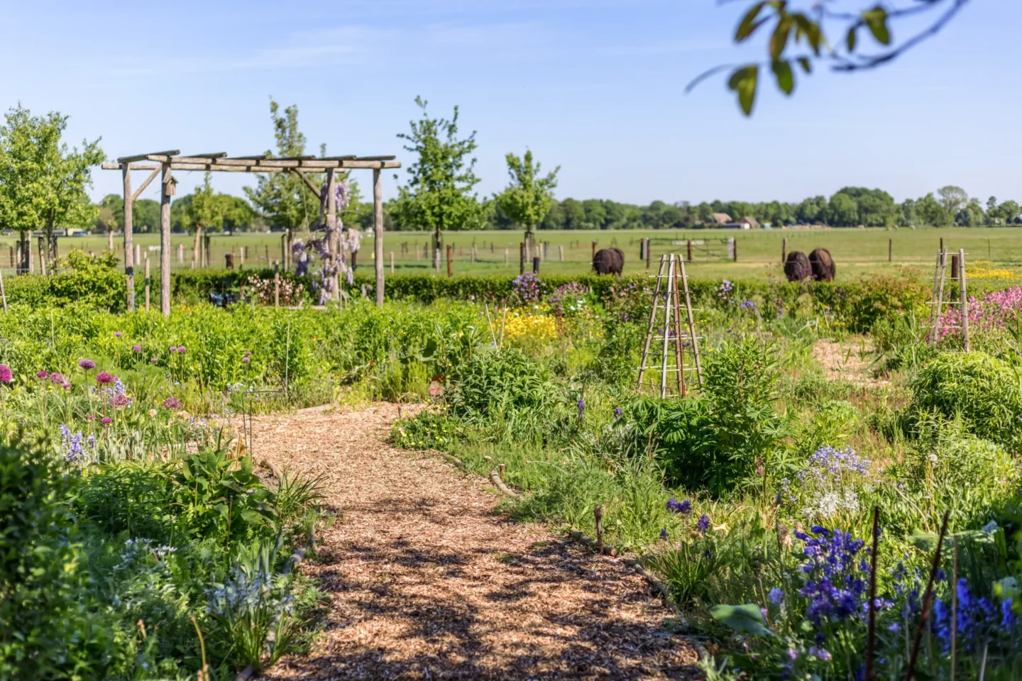 stichtingdepaardenakmp_gagelgat_locatie_3