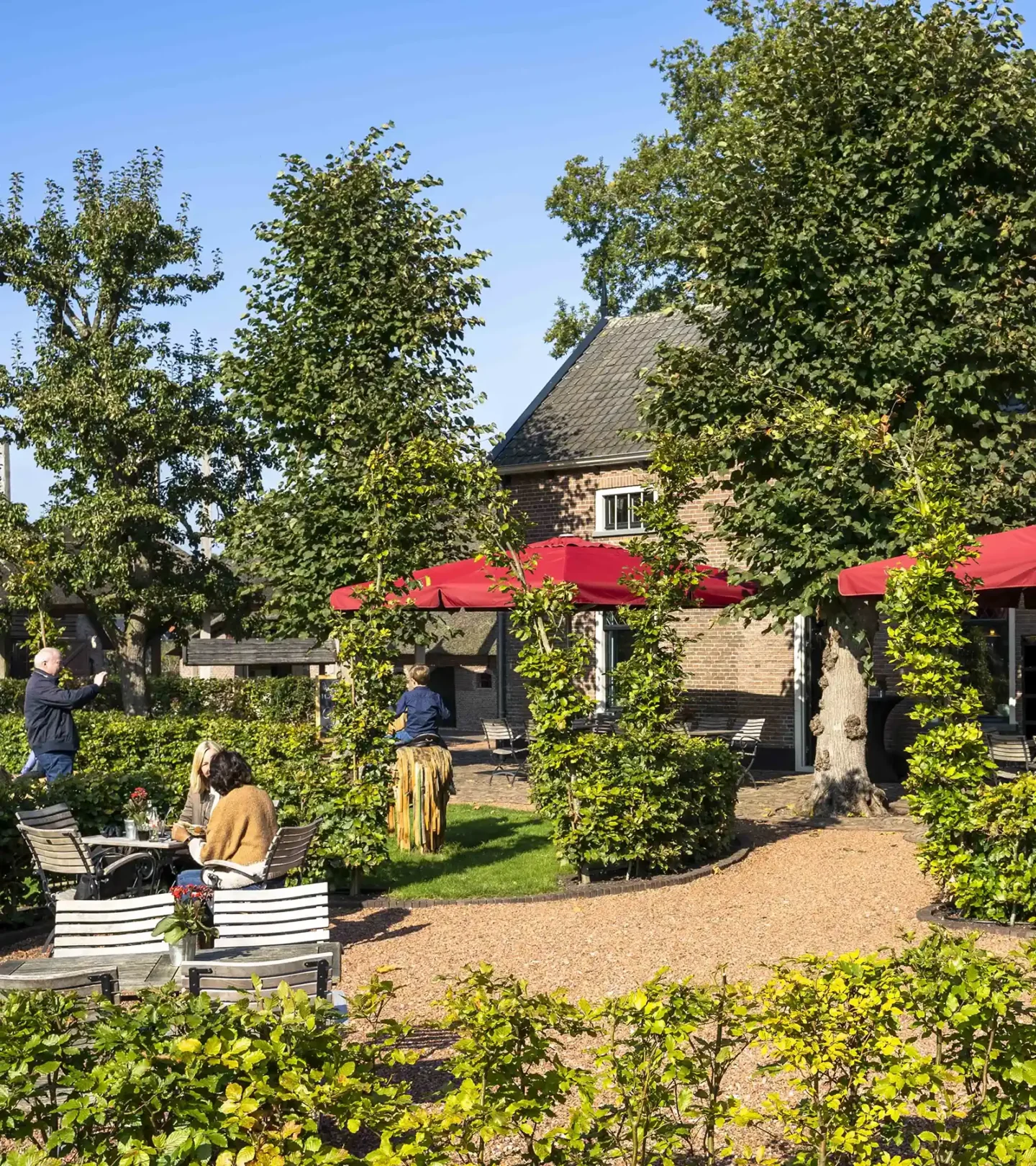 stichtingdepaardenkamp_bezoek_theehuishetoudepaard