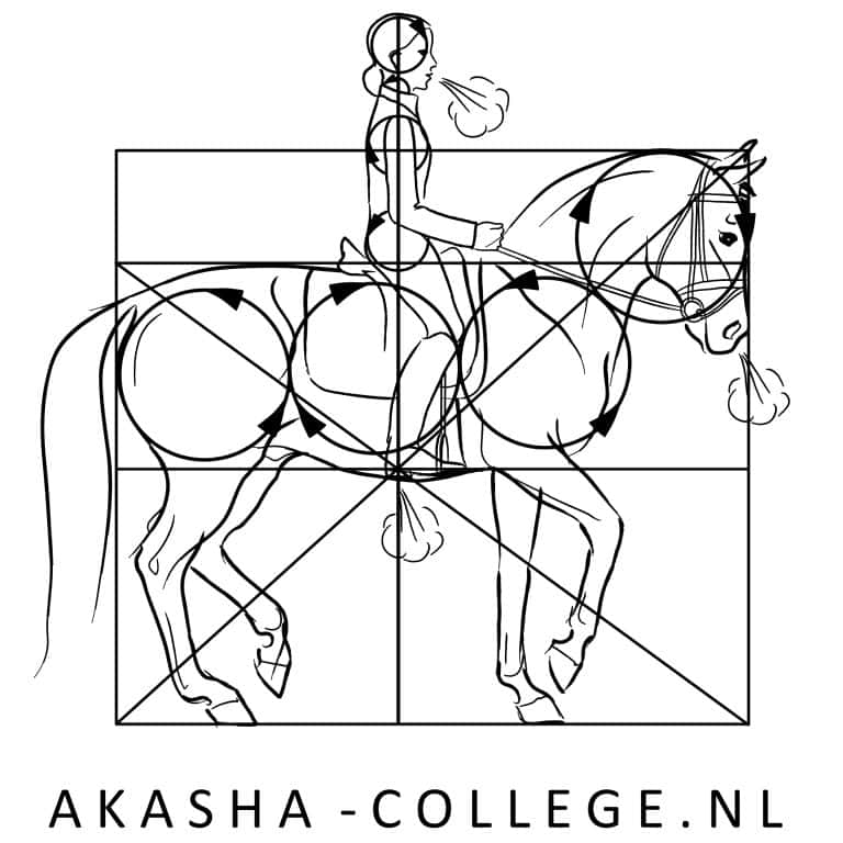 stichtingdepaardenkamp_dvhop_akashacollege
