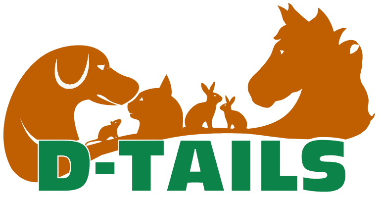 stichtingdepaardenkamp_dvhop_dtails