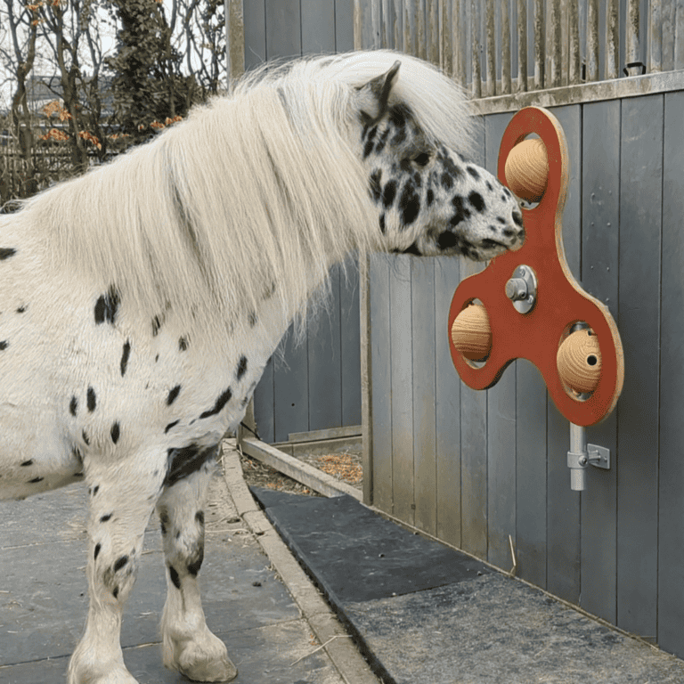 stichtingdepaardenkamp_dvhop_equithink