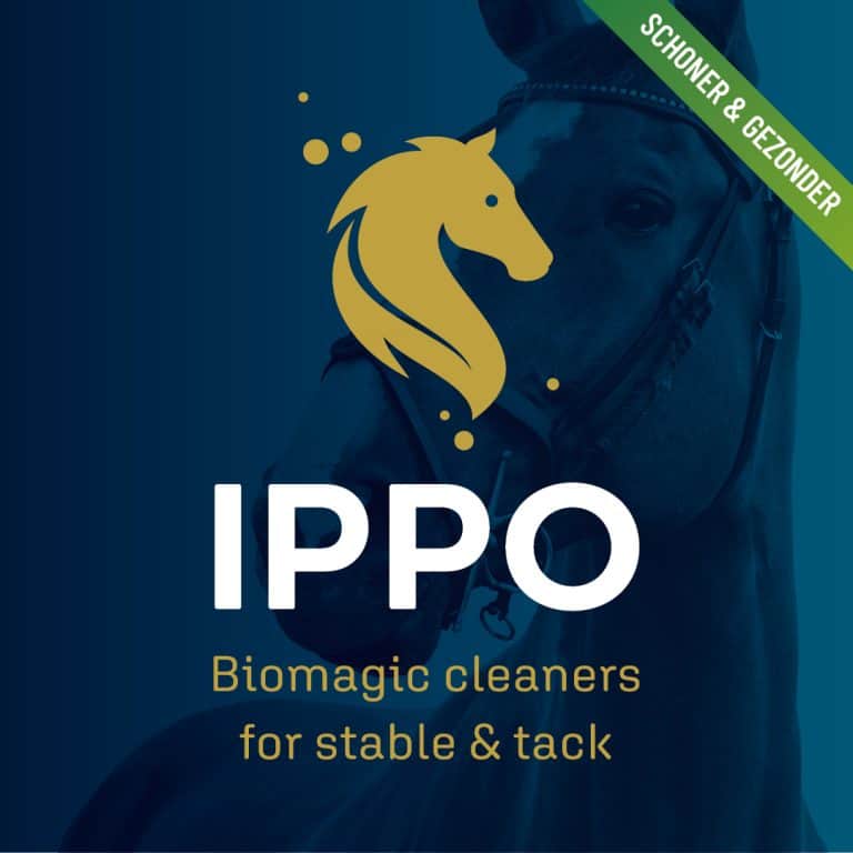stichtingdepaardenkamp_dvhop_hartog
