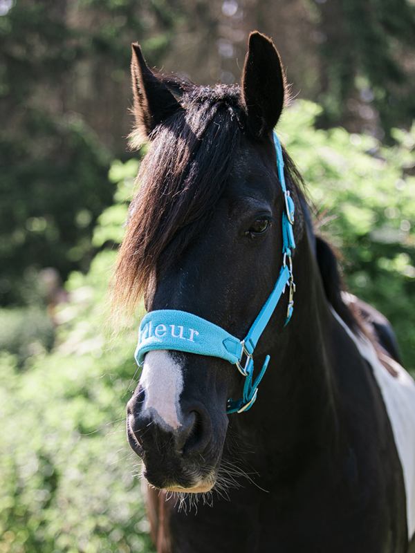 stichtingdepaardenkamp_dvhop_marjoleinvanlubeck_edelsmid