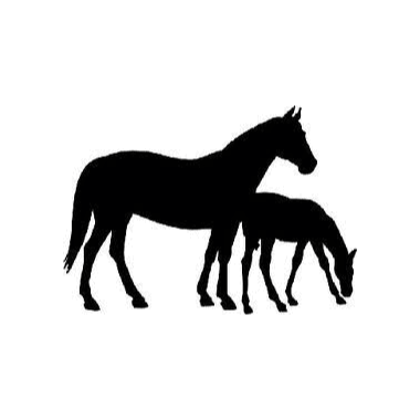 stichtingdepaardenkamp_dvhop_paardenmelkerijachterduijst