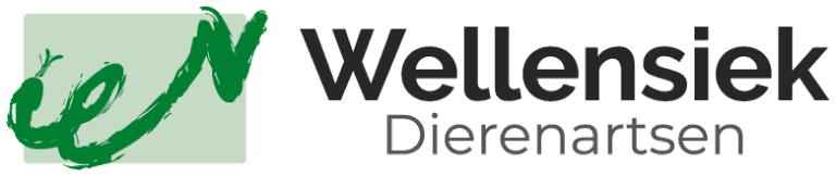 stichtingdepaardenkamp_dvhop_wellensiekdierenarsten
