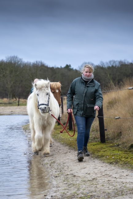 woman waling a horse