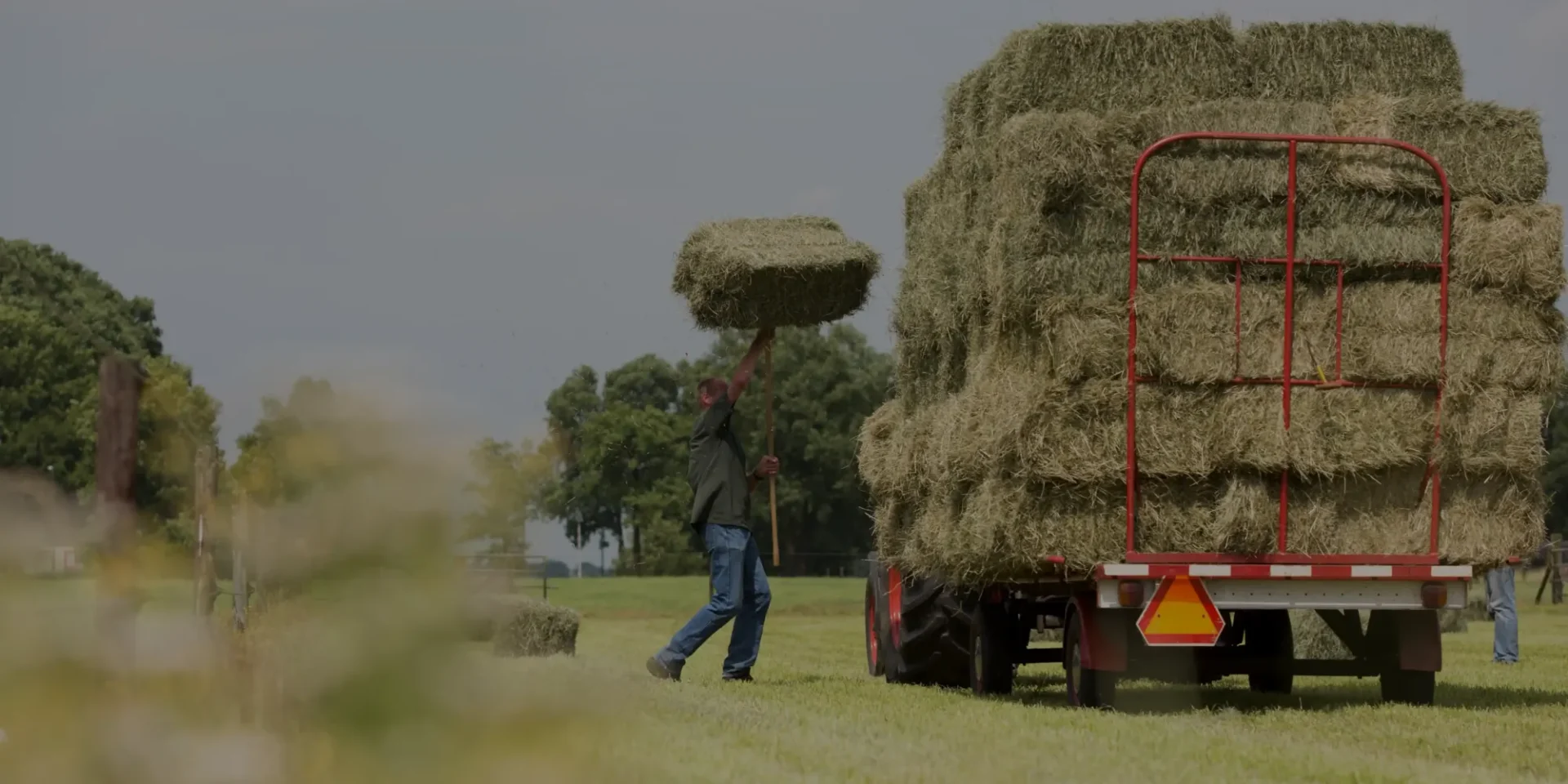 stichtingdepaardenkamp_overons_hooistro